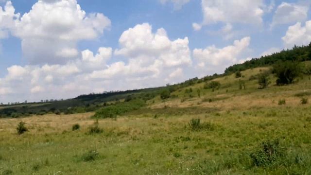 Геологи выбирают место для бурения гидрогеологической скважины. Июнь 2020. смотреть онлайн