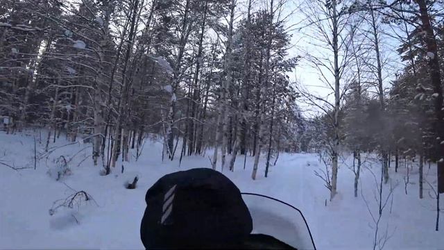 Рыбалка на хариуса. Ночная проверка жерлиц. Турпоход часть 3. смотреть онлайн