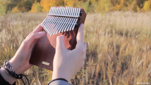 [kalimba cover] Wake Me Up When September Ends – Green Day – Eva Auner смотреть онлайн