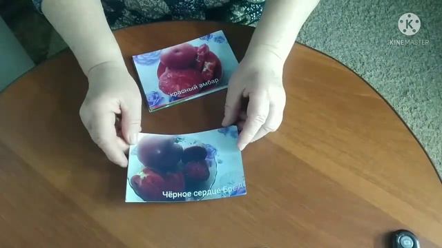 Томаты, к которым не хочу возвращаться!