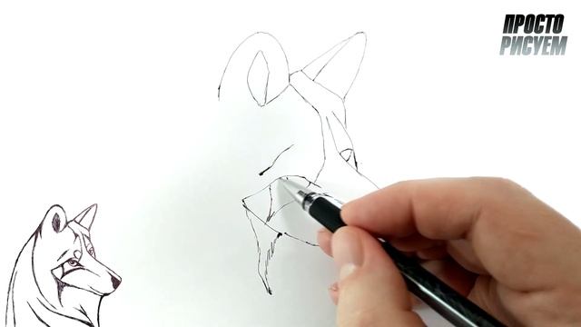 Как нарисовать ХАСКИ ручкой ! смотреть онлайн