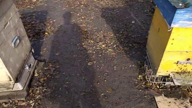 21.11.2022 г. Ростовская область +18'