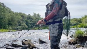 Жаркий голавлиный июль 2021, день Smith Camenusi, ловля летнего голавля на микроречке.