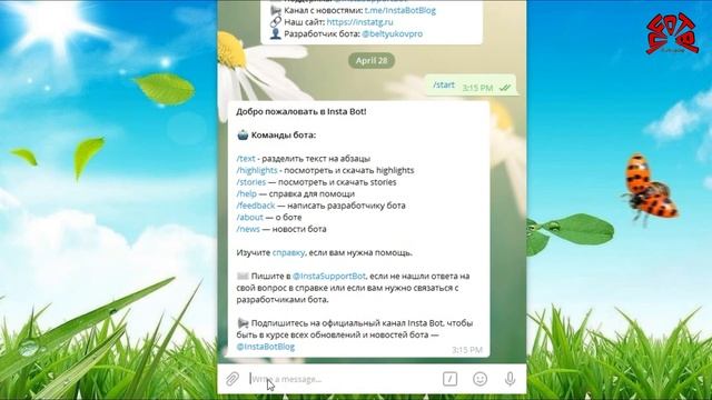 Top 7 Instagram Video, Photo, Profile Pictures Downloader Telegram Bot смотреть онлайн