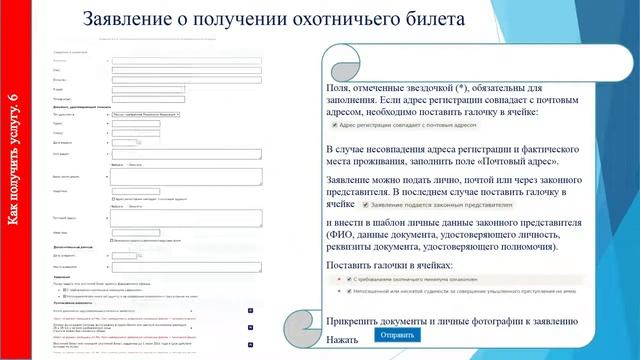 Получить охотничий билет. смотреть онлайн