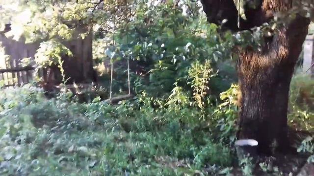 КАЧЕЛИ В ЗАБРОШЕННОМ ДОМЕ! ✌ смотреть онлайн