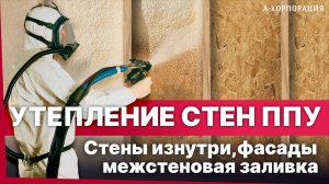 УТЕПЛЕНИЕ СТЕН ПЕНОЙ ППУ / Как утеплить стены снаружи? Как утеплить изнутри? Заливка в пустоты.
