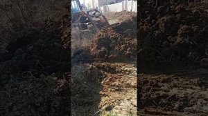 т16 самодельный Кун первый тест погрузка навоза