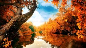Звуки природы, пение птиц, Звуки Леса, для релаксации, сна, Медитации, Relax