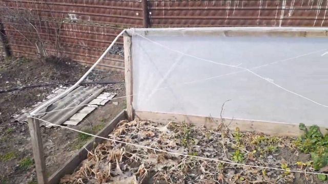 Крым, будни. Работы непочатый край#крым #недвижимостьвкрыму #море #домнаморе #домвкрыму #лук смотреть онлайн