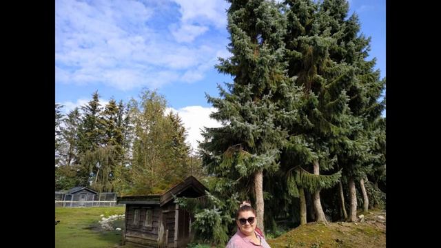 Любовь с первого взгляда \ Норвегия город Саннес смотреть онлайн