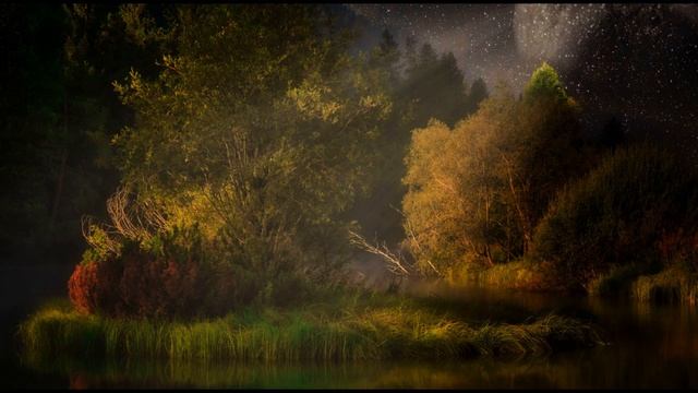 Beautiful Relax Music Of Nature, Relax And Calm Your Heart.