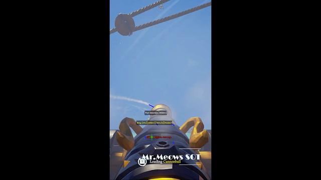 I became a dolphin ft Mr.Meows SOT paid cheat 2023-2024#hack #aimbot #esp #discord смотреть онлайн