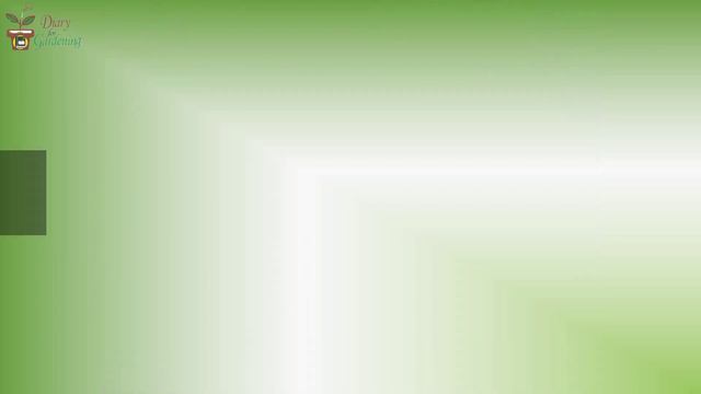 33 Plants That Don't Need Sunlight to Grow || Plants Grow in the Darkest Corner смотреть онлайн