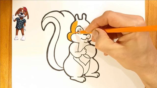 Рисуем белку / как нарисовать белку / раскраска белка / раскраска малышам. смотреть онлайн