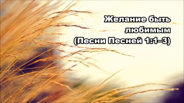 Тихое время с Живой Жизнью: Песни Песней 1:1–8 (22112017) смотреть онлайн
