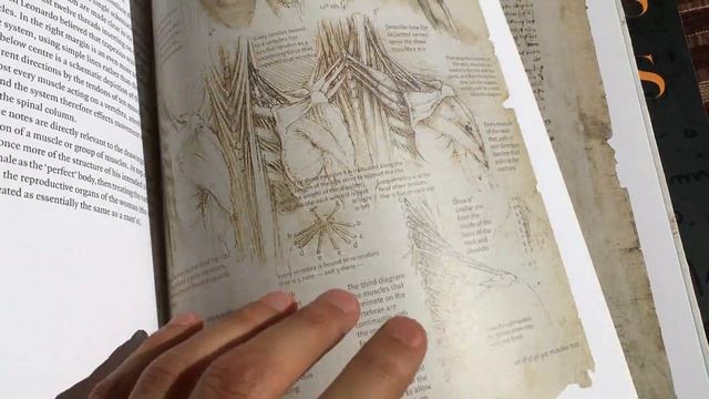 Which Artistic Anatomy Book Should You Get? смотреть онлайн