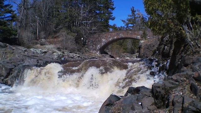 Красивая природа: леса, водопады, моря и животные (лебеди, слоны, ящерица, зебры, лошадь, гуси)