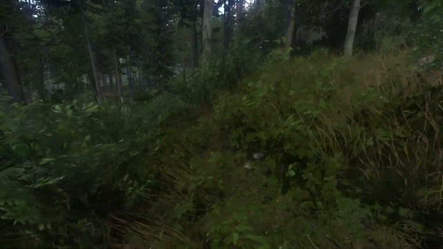 Прохождение "Kingdom Come: Deliverance" #26 - Утешил Стефанию и нашёл Прибыславицу. смотреть онлайн