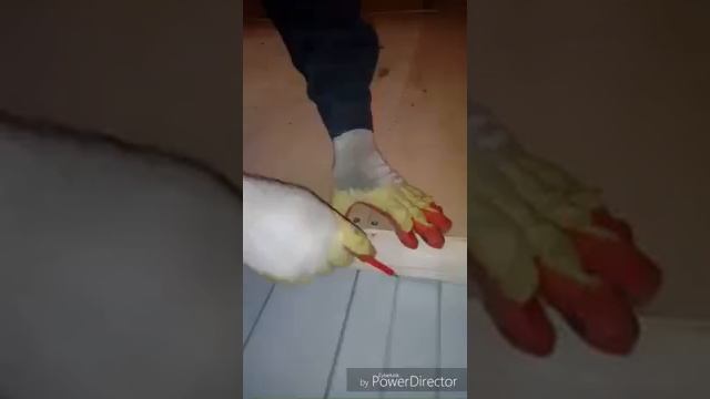 Пчеловодный домик смотреть онлайн