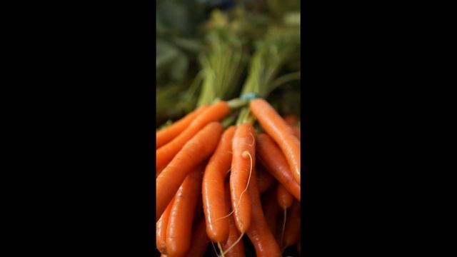 Как посадить морковь что бы соседи вам завидовали? Морковка. смотреть онлайн