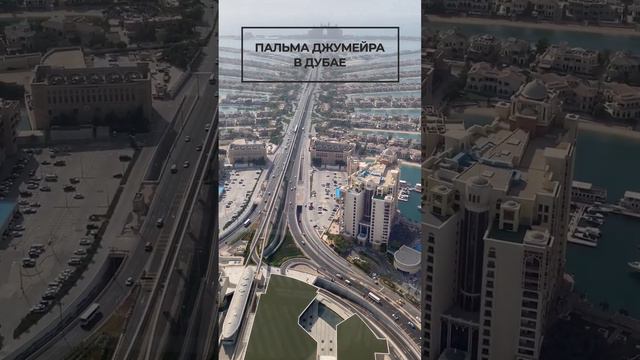 Пальма Джумейра смотреть онлайн