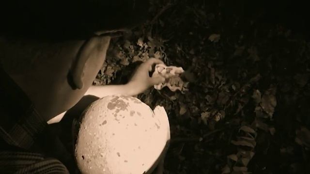 Номинация 70-летию Победы посвящается... "НЕИЗВЕСТНЫЙ СОЛДАТ" смотреть онлайн