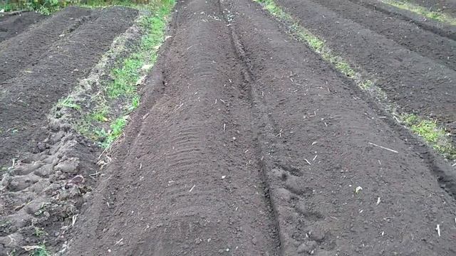 Завершаю осенние работы фрезеровкой и планировкой участка земли.