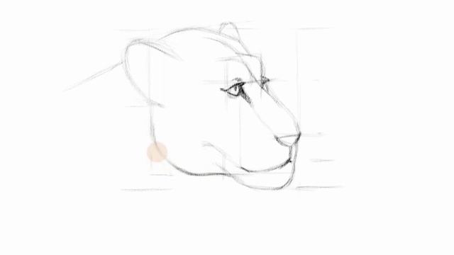 Как нарисовать льва карандашом поэтапно для начинающих. Часть1 смотреть онлайн