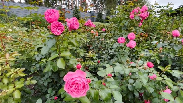 Строительные Ремесленники