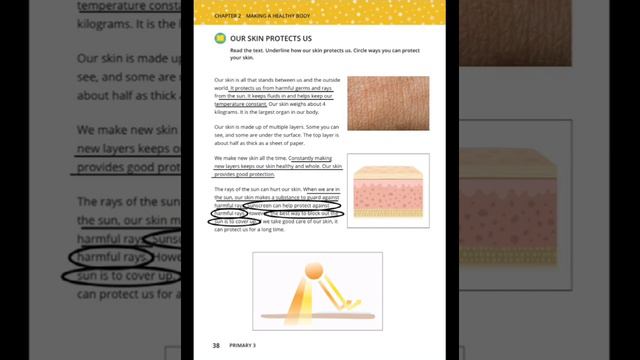 Discover Junior 3, Theme 1, Chapter 2 38 To 40