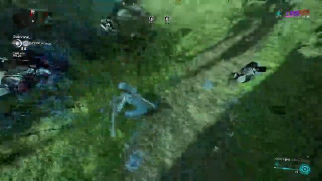 The D-word P-word. Rule 34 warframe. смотреть онлайн