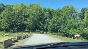 Как живут Амиши (Ohio,USA). Жизнь без смартфона и прочих современностей