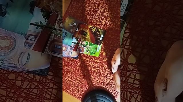 ПОЛНОЛУНИЕ, стоит задуматься.. смотреть онлайн