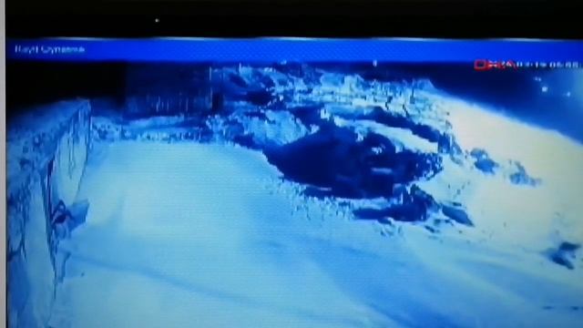 Человек Собаке Друг, Собака человек друг. Алабай против волков. Хозяин спас своего Алабая смотреть онлайн