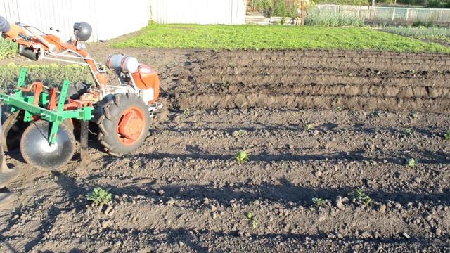 Окучивание картофеля мотоблоком. Работаем с удовольствием! смотреть онлайн