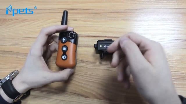 Электронный ошейник IPets PET619 смотреть онлайн