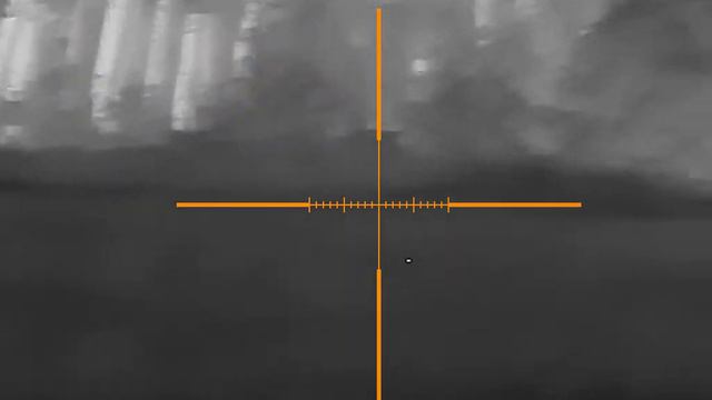 Косуля GUIDE TR450. охота тепловизор