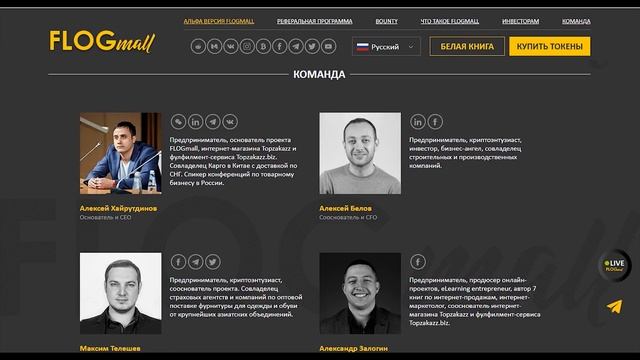Обзор команды и дорожной карты проекта Flogmall смотреть онлайн
