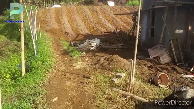 walk in the village .#roads in villages in West Java, Indonesia смотреть онлайн