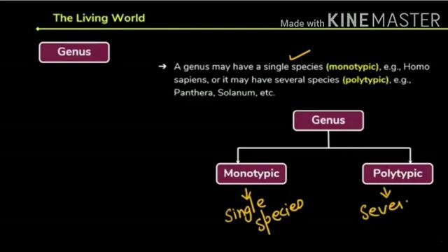 CH:THE LIVING WORLD(HIERARCHY CLASSIFICATION OF ORGANISMS)XI BIOLOGY