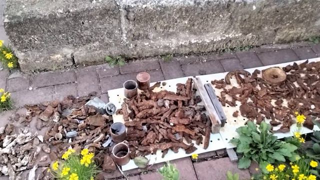 Выживаем..., Ах, как хочется Жить... смотреть онлайн