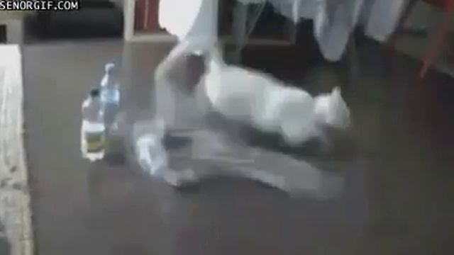 На старт, внимание,марш. смотреть онлайн