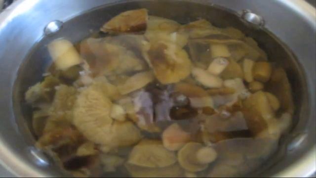 Закатываем грибы зеленушки, которые собрали муж с дочерью