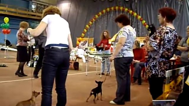 14.05.2011. Екатеринбург. МОНОПОРОДКА Р.ТОЕВ. смотреть онлайн