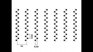 Схема посадки томатов в теплице, пытаемся расположить максимальное количество томатов