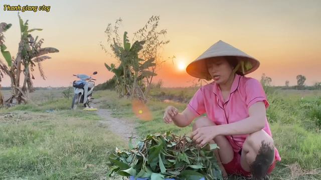 Hoàng hôn buông xuống em gái đi hái rau muống về làm dưa chua để dành ăn cơm #thanhgiangvlog смотреть онлайн