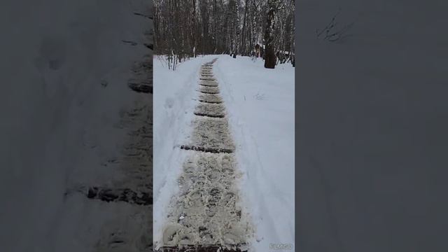 19.01.24, Крещение, иду за водичкой на источник смотреть онлайн