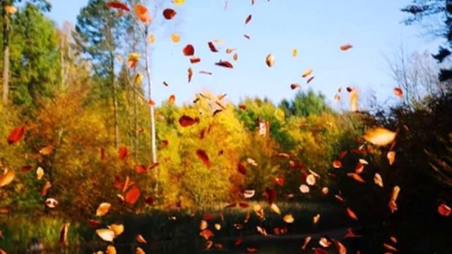 Я ДРУГОЙ ХОЧУ ПРИДУМАТЬ КАЛЕНДАРЬ смотреть онлайн