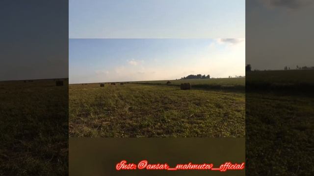 Погоня от мусоров на квадроцикле! ШОК! Ему всего 13! смотреть онлайн